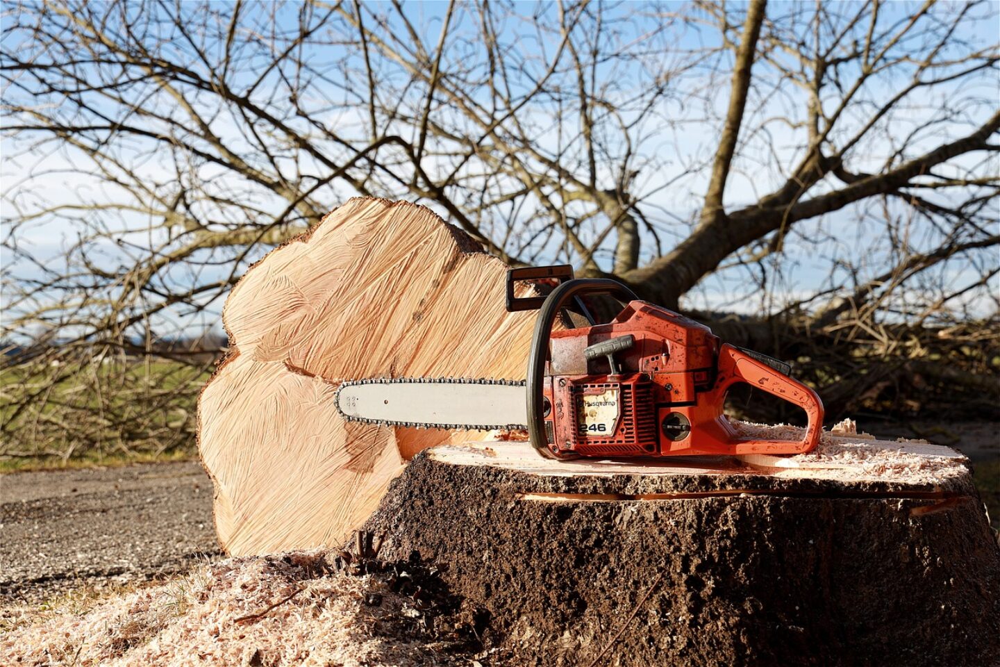 chainsaw-4815949_1280