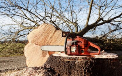 chainsaw-4815949_1280